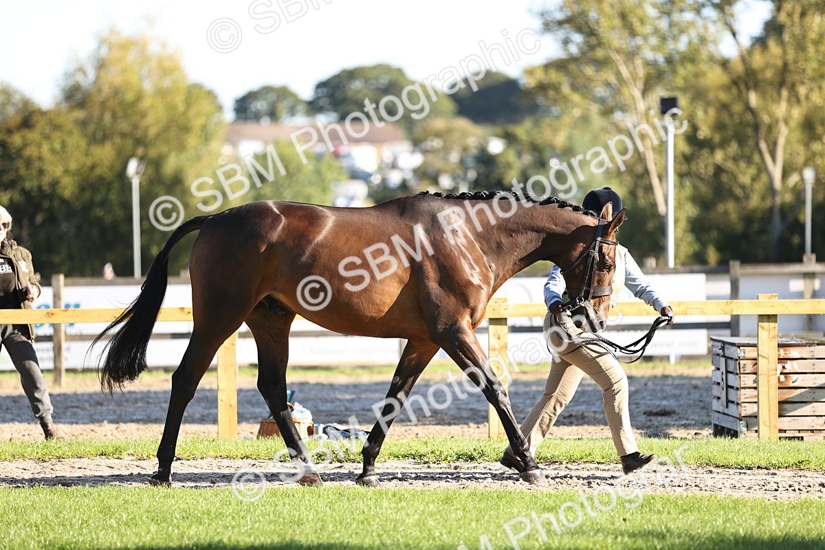 SBM_15702 - S1 - TSR in Hand Horse & Pony Showing