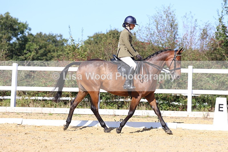 3E7A5684 - Class 10: Riding Horse