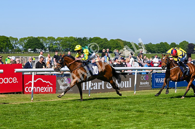 130525-Race 4-Coolree-0031 - Race 4