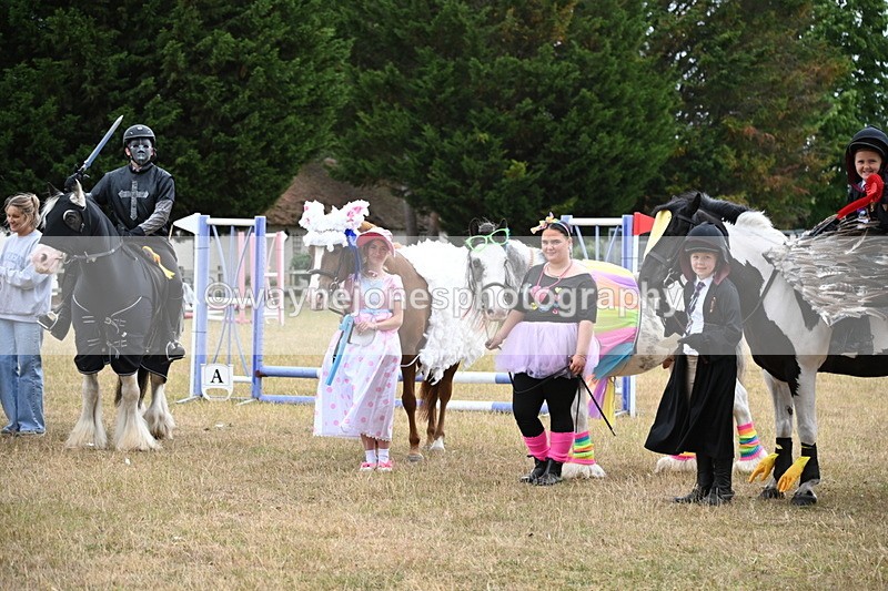 WJ6_9245 - Class 11 Fancy Dress