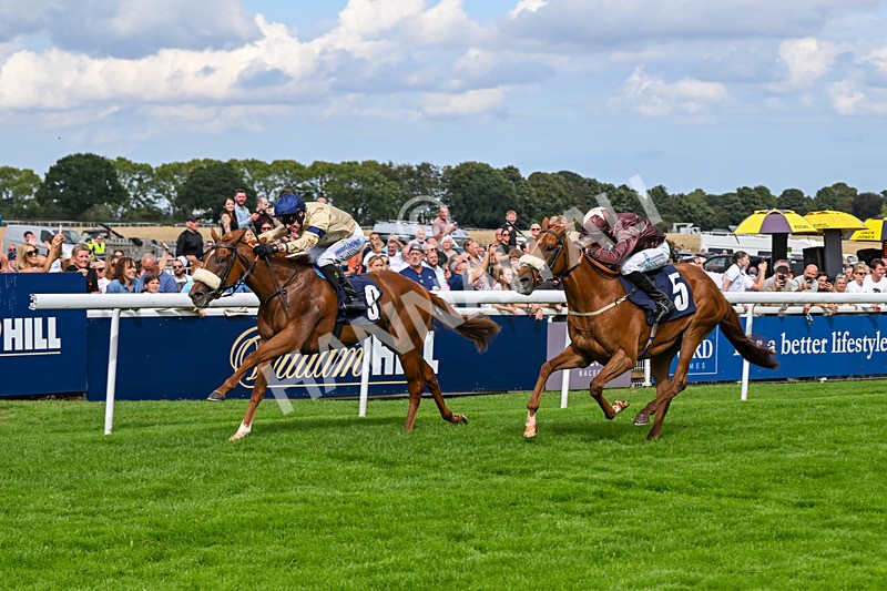 300826-Race 3-Pivotal Voyage-0193 - Race 3 2.50pm Churchill Tyres EBF Restricted Maiden Fillies' Stakes