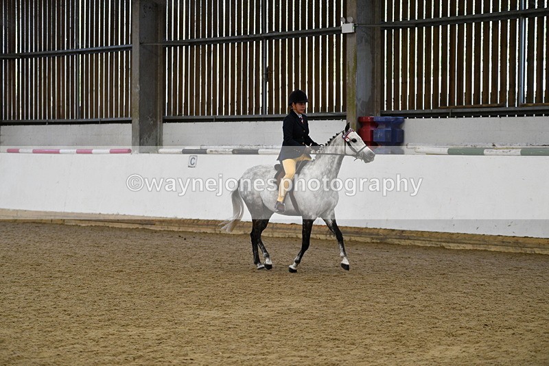 WJ5_7729 - Class 13 Ridden Part Breed