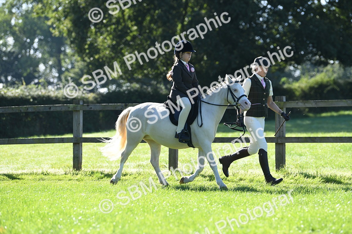 SBM_36781 - S18 - Novice & Newcomers Lead Rein Pony