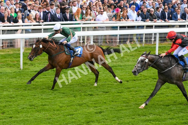 yr21052022r2-32 - Race 2: 2:20pm William Hill Bet Boost Stakes