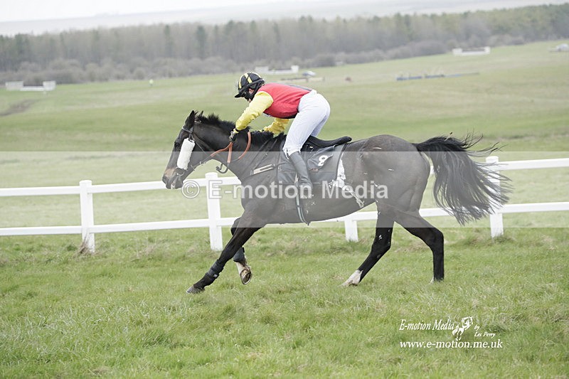 PtP 260323 0953 - New Forest Hounds Point-to-Point Larkhill 26/03/23