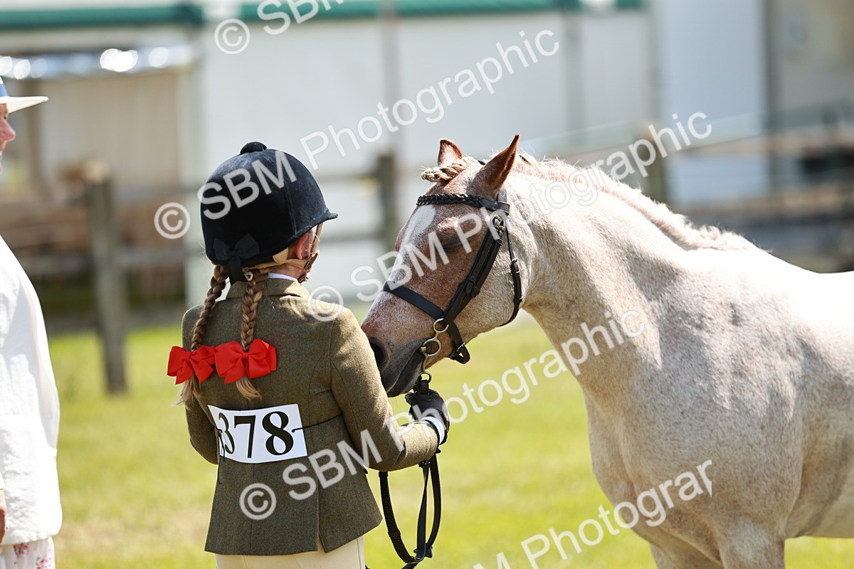 SBM_13639 - Class 108-109 - BSPS LIHS Open Gradle & Nursery Stakes