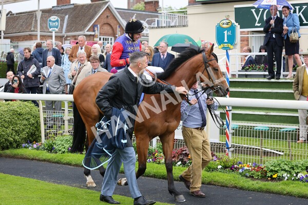 yr11052022r1-6 - Race 1 1.50pm Sky Bet Race to the Ebor Jorvik Stakes