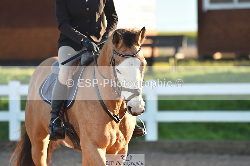 231111A-021330-01170 - Cls 8 Clear Round