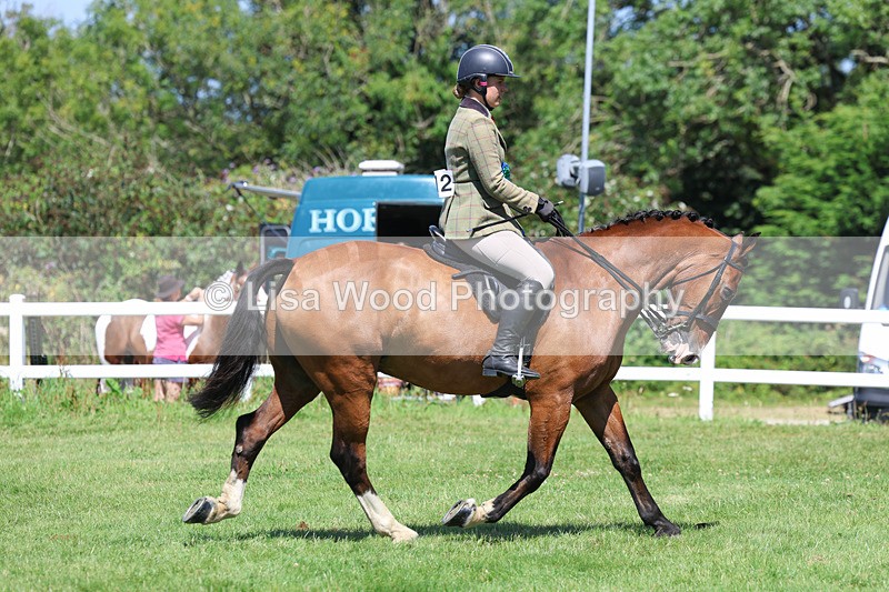 3E7A9128 - Working Hunter Championship