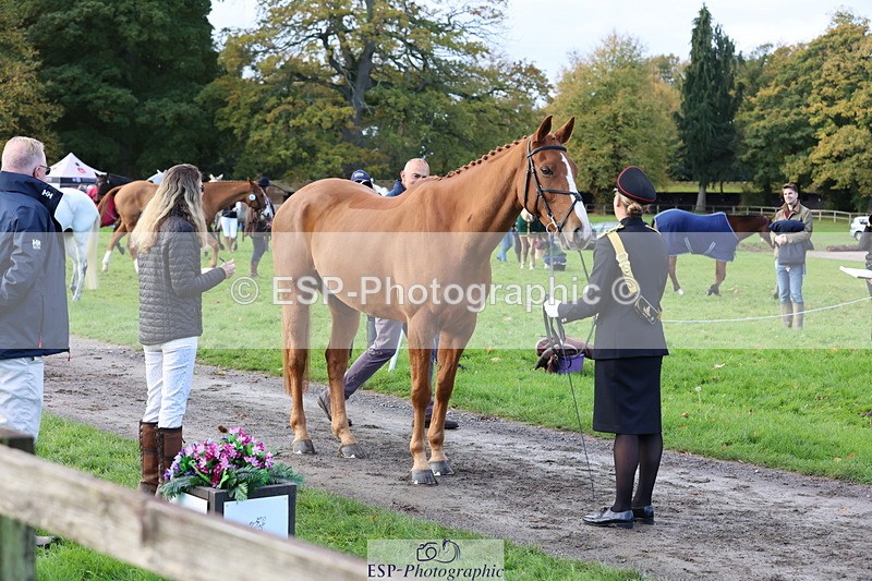 251026A-100124-22672 - D-321-Kirstie.Deakin-Main