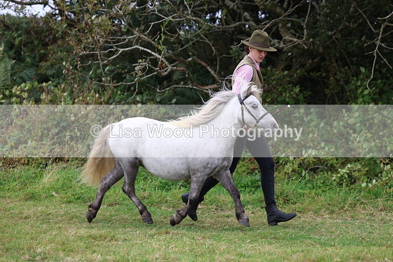 3E7A4391 - Class 15: Three Year Olds