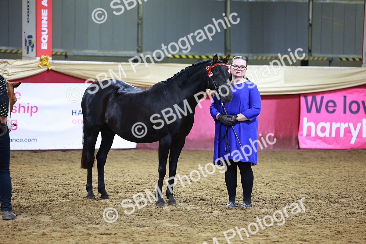 SBM_15553 - Class R - Veteran Champ