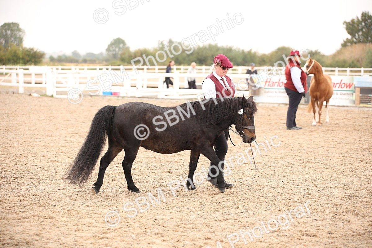SBM_22156 - Class 707 - Ridden Groom-Helpers Class