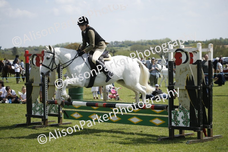 20250427-3648 - Class 14 - Absolute Novice 70cm