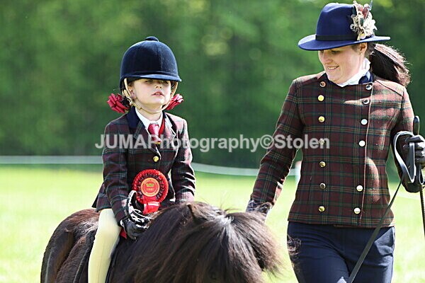 IMG_4904 - Working Hunter