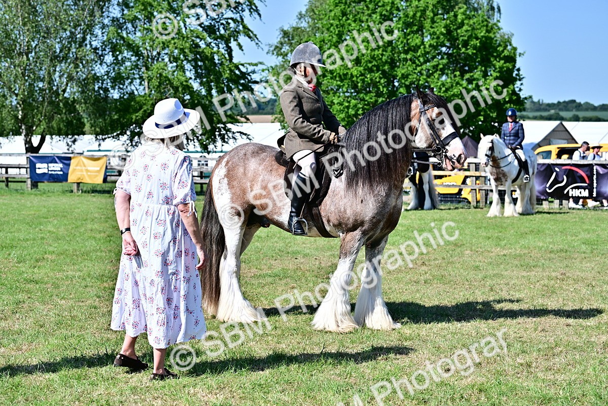 SBM_19427 - Class 101-102 - BSPS LIHS Performance Coloured Horse/Pony