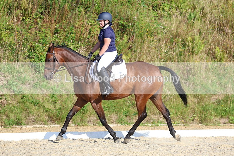 3E7A3582 - Class 2: Intro 1 2024 Section B