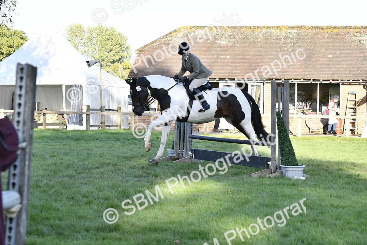 SBM_53561 - S14 - Riding Club Horse
