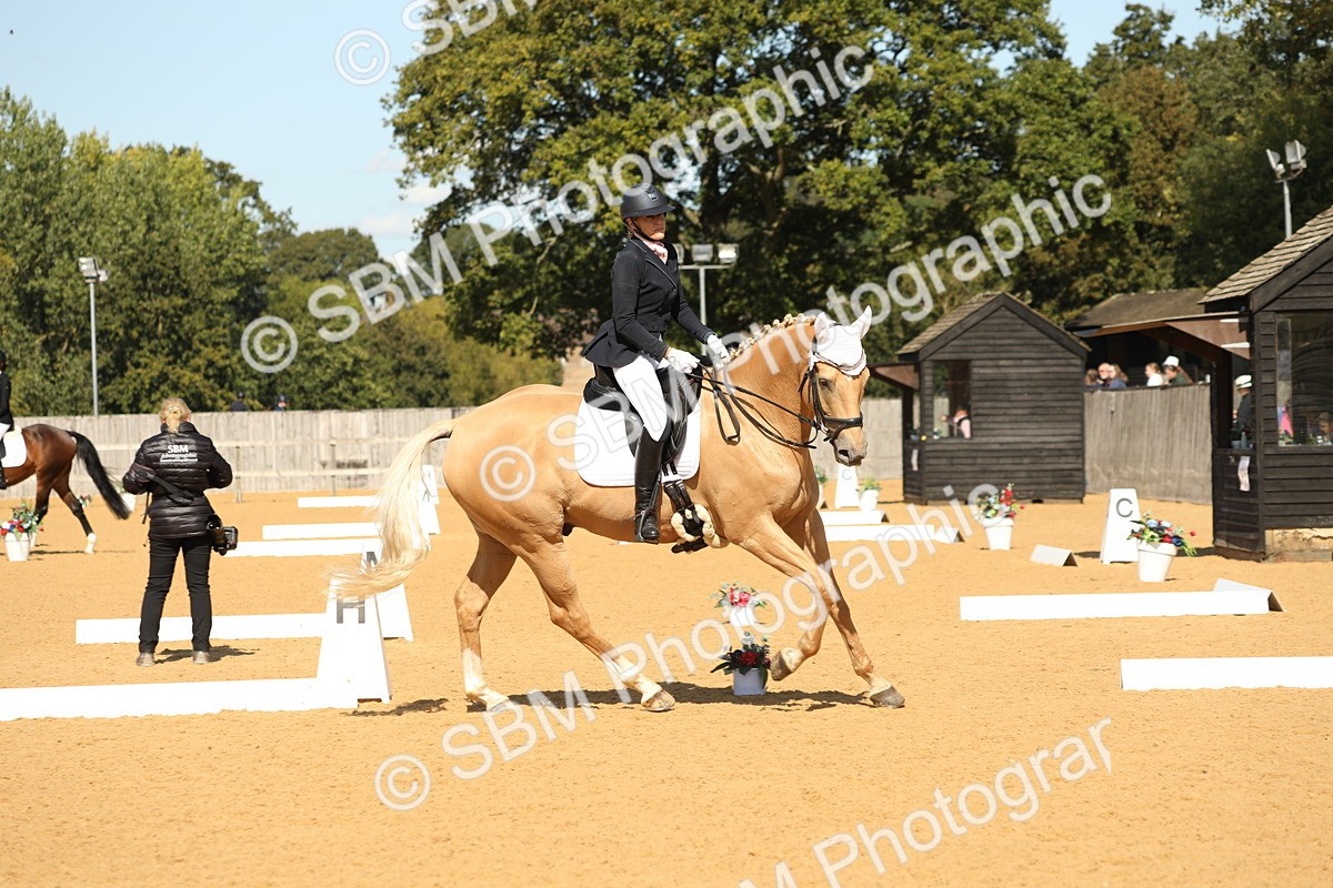 SBM_22318 - D17 - Grand Tour Championship - Novice 27