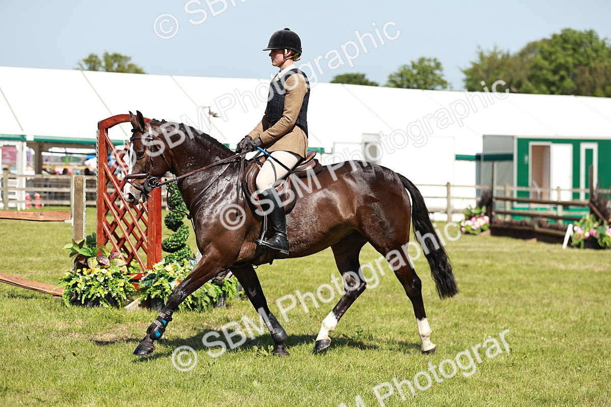 SBM_18392 - Class 112-113 - BSPS LIHS Working Sports Pony