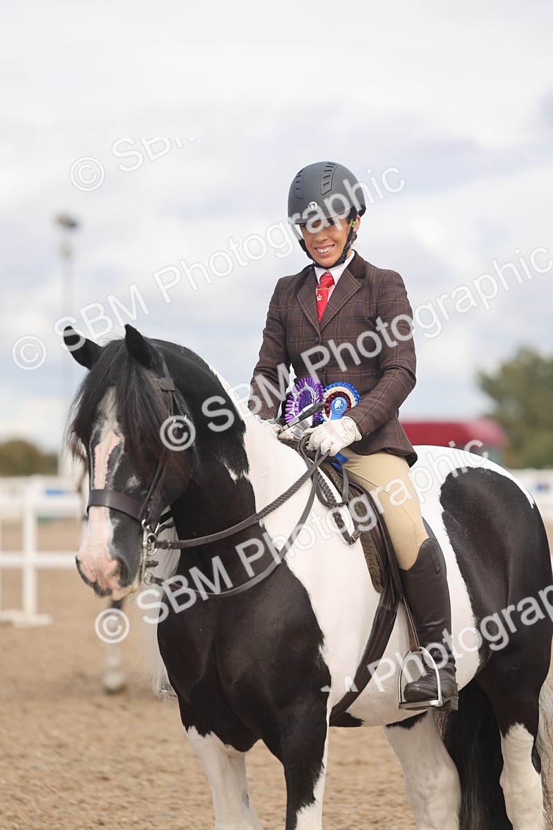 SBM_04503 - Class 18 - Handsomest Gelding (IH or Ridden)
