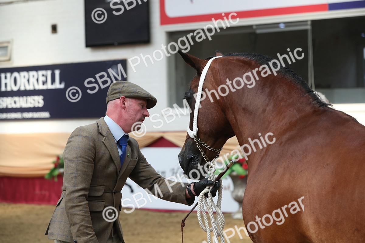 SBM_15328 - Class 501 M&M IH Supreme Final