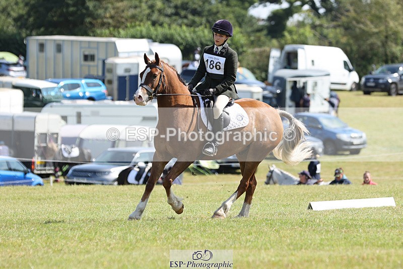 240824X-115025-26989 - D80 Section G and H 11.00 to 12.00