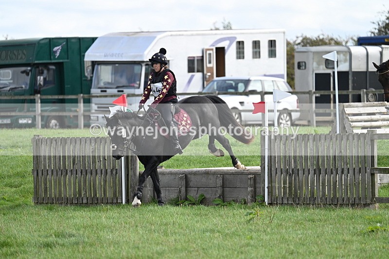 WJ7_8323 - 60cm Pairs