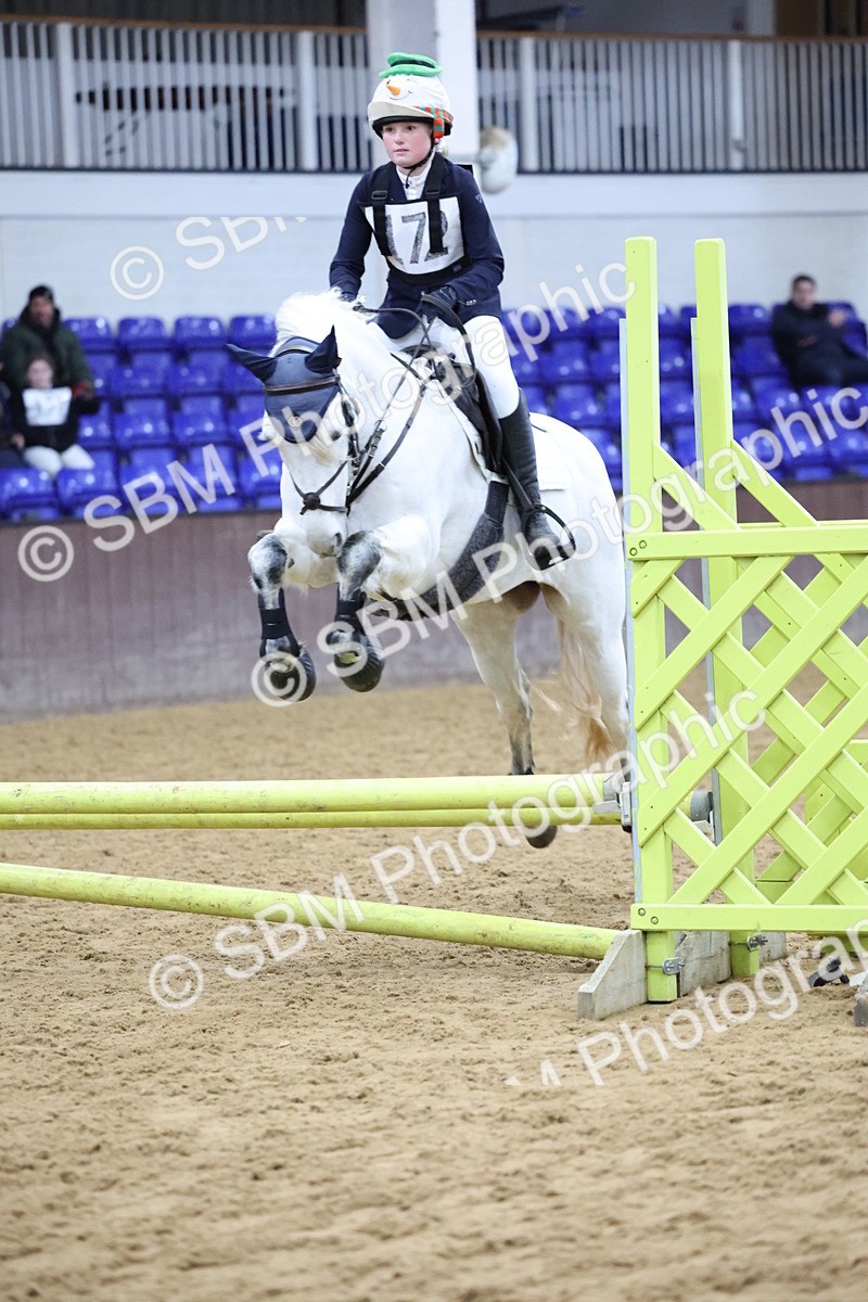 SBM_001060 - Class 3 - Christmas Tree Stakes - 60cm