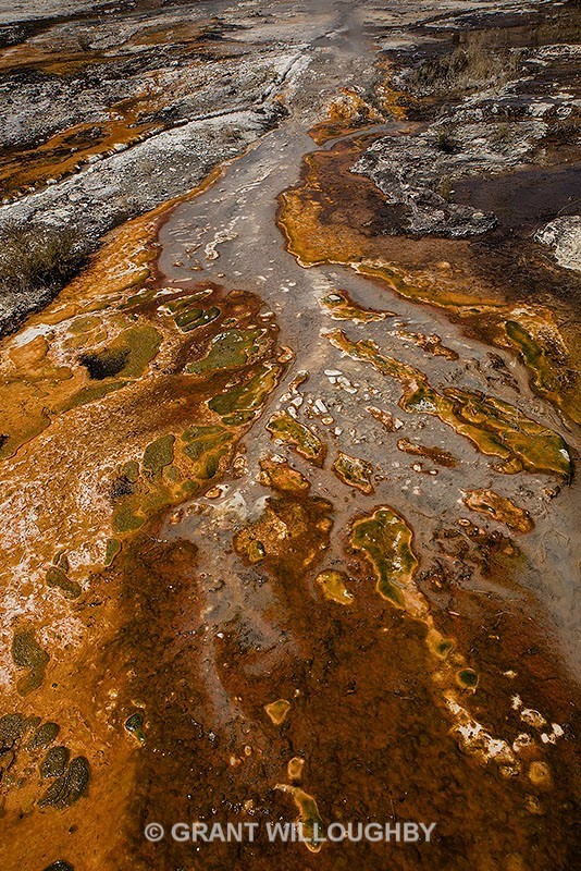 Aoraki Koeraki thermal salts - New Zealand