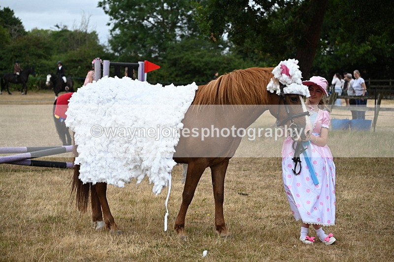 WJ6_8774 - Class 11 Fancy Dress