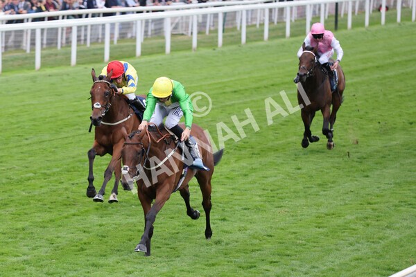 yr22072022r5-20 - Race 5 7.20pm British Stallion Studs EBF Lyric Fillies' Stakes