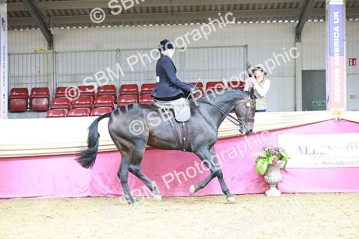 SBM_08769 - Class 12R - Regional Ridden Pre-Vet