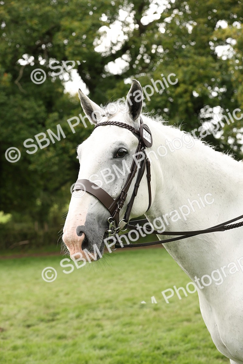 SBM_66385 - S66 - Hunter Ridden