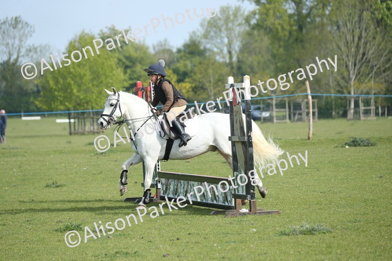 20260426-0121 - Class 13 - Rookie Jumping 50cm