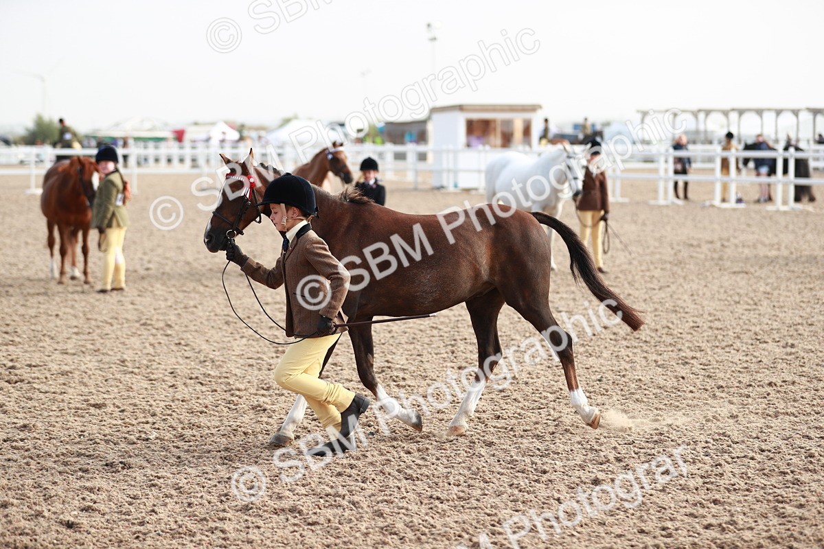 SBM_09901 - Class 203 Young Handler, 10 years and under