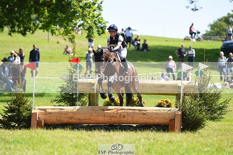 230527-104938-09020 - 263-CARWARTHEN_HARRIER-Polly_Muirhead-XC