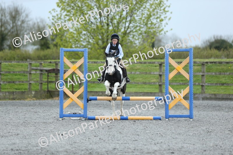 20260412-1840 - Show Jumping