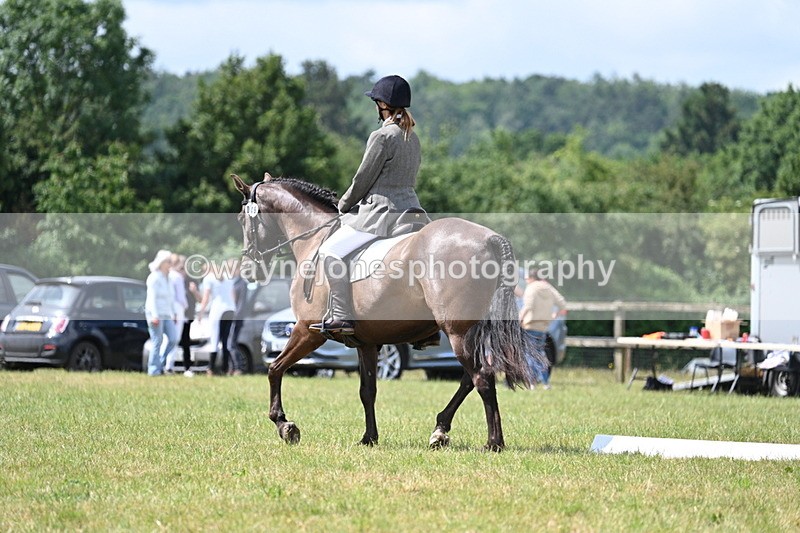 WJ7_4782 - Time 11:22 to 11:51