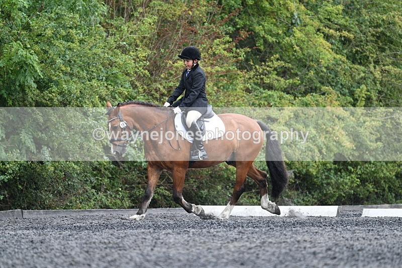 WJ7_6136 - Time 11:38 to 12:03