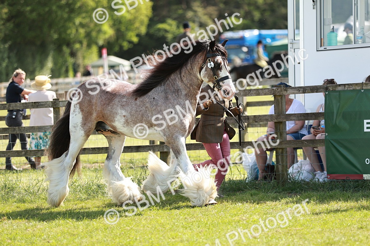 SBM_08951