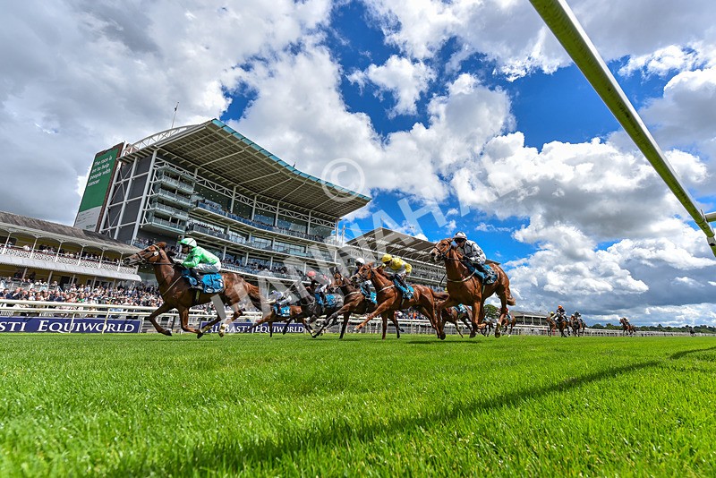 120626-Race 2-Everatease-9996 - Race 2 14.25pm Constant Security Keeping York Racegoers Safe Rous Selling Stakes