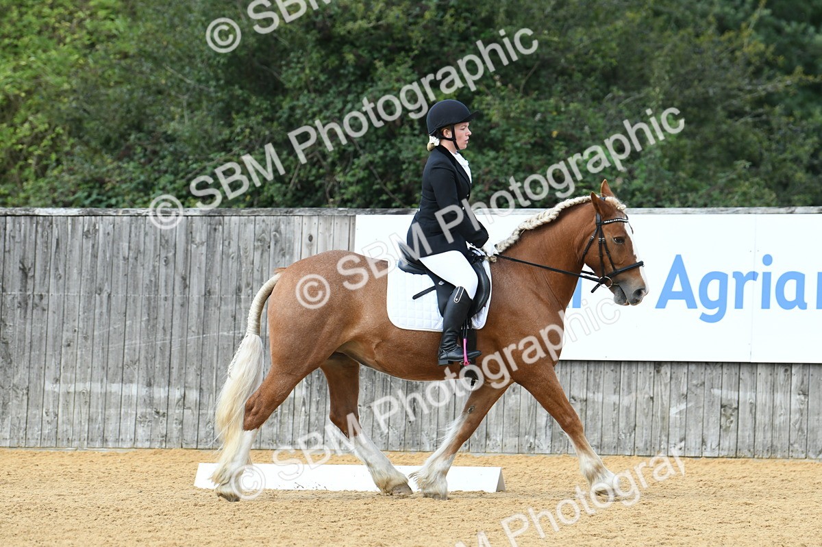 SBM_03098 - D7 Small Tour Championship Prelim 1