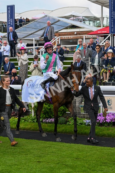 160524-Race 3-Bluestocking-5723 - Race 3 3.15pm  Al Basti Equiworld Dubai Middleton Fillies' Stakes