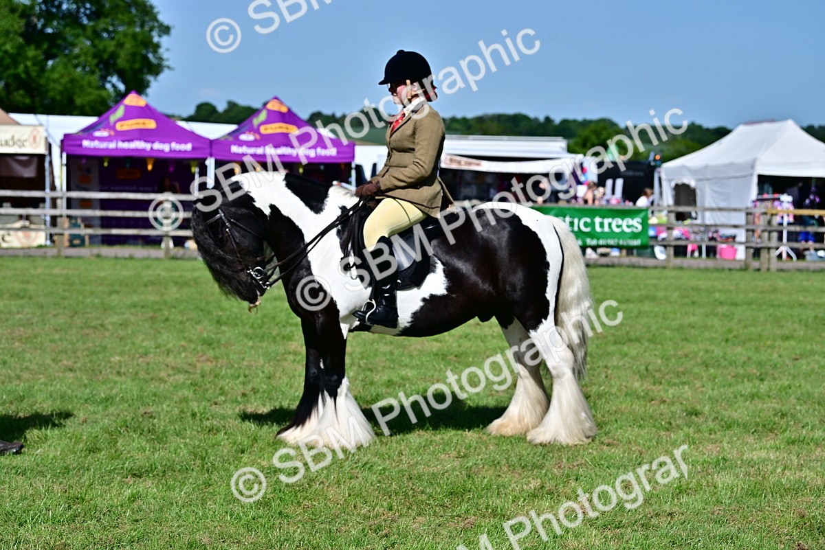 SBM_09367 - Class 63-65 - Traditional Gypsy Cobs In Hand & Ridden