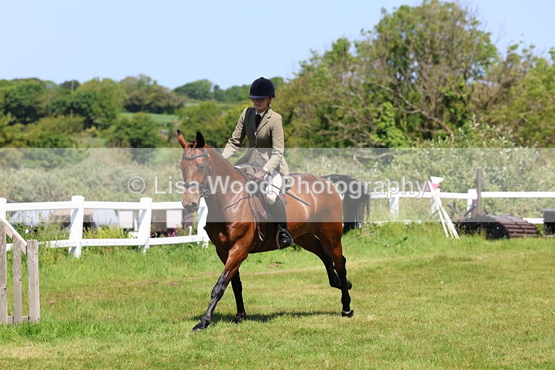 3E7A7302 - Class 30: Novice Working Hunter
