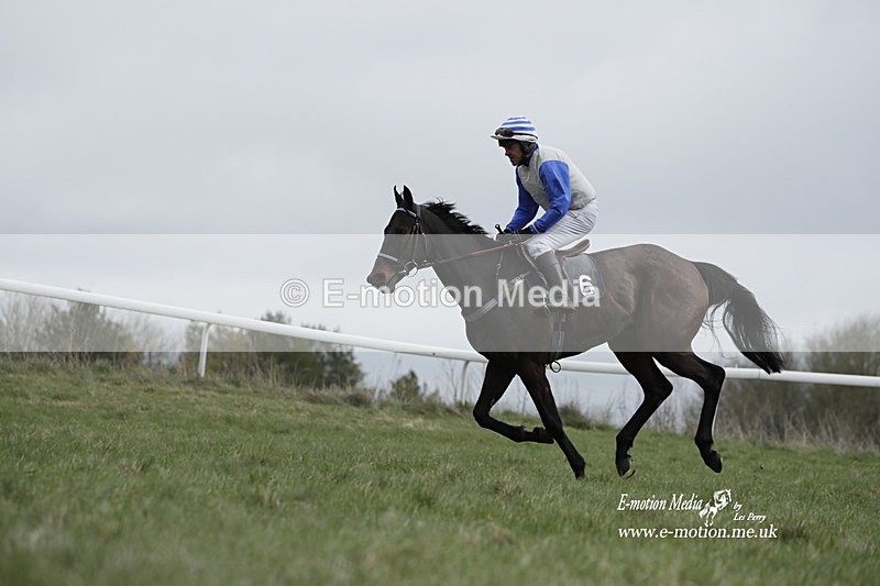 PtP 260323 0675 - New Forest Hounds Point-to-Point Larkhill 26/03/23