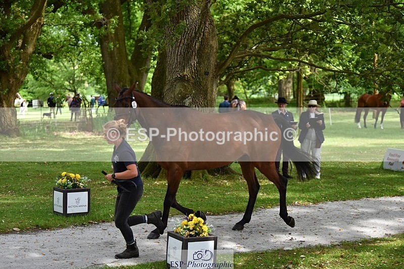 240522-150254-00057 - 302-BGS_LUX_ELECTRIC-Emily_Philp