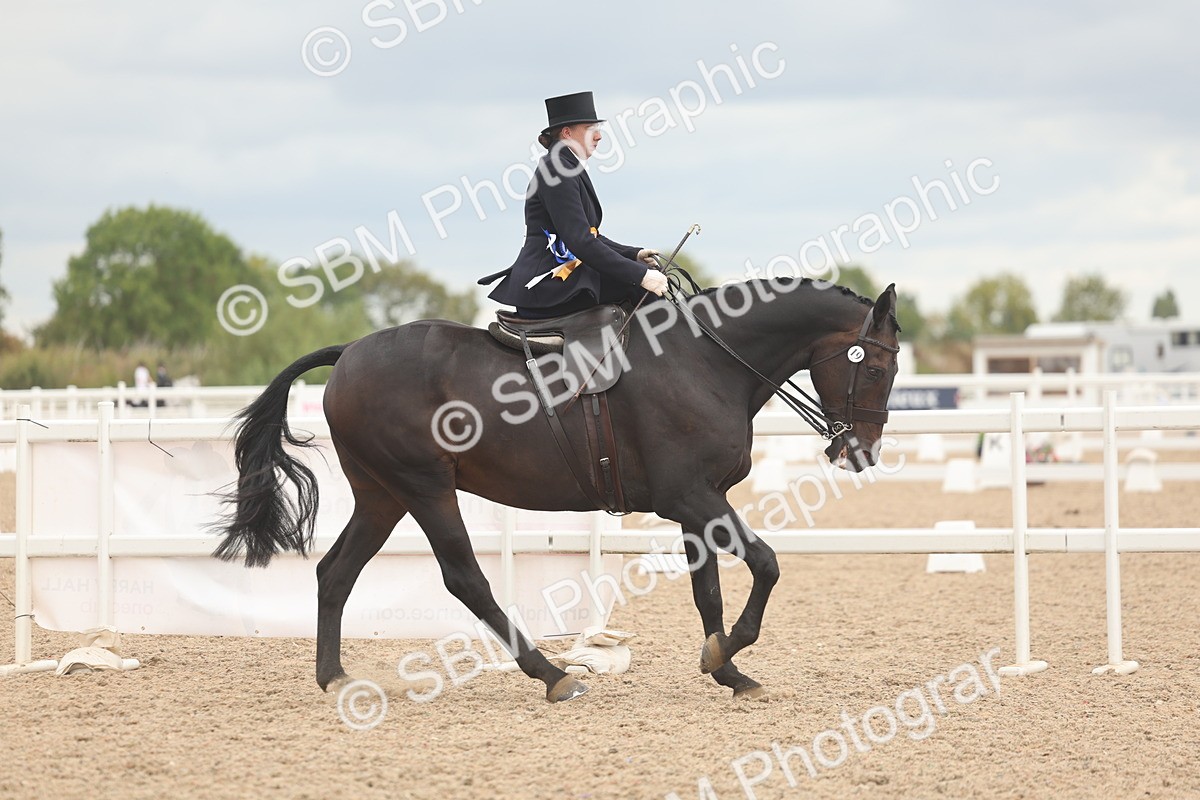 SBM_06399 - Class 23 - SSA - Classical