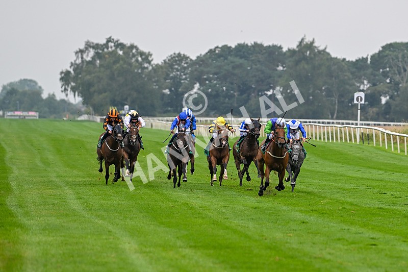 070924-Race 4-Kings Merchant-7511 - Race 4